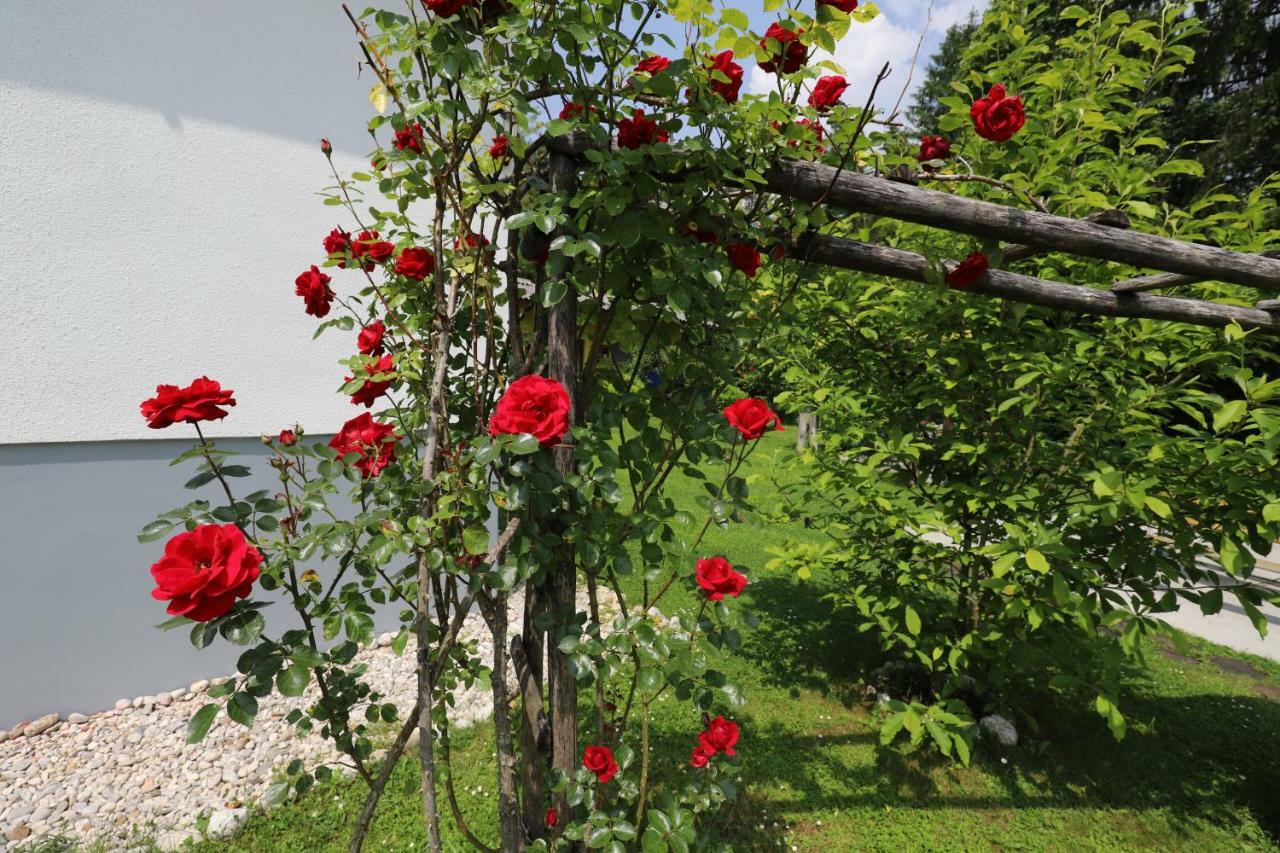 Adventure Cottage With Pool And Big Garden Bled Exteriér fotografie